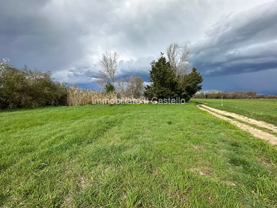 Immagine 12 di Terreno in vendita  a Castiglione Del Lago