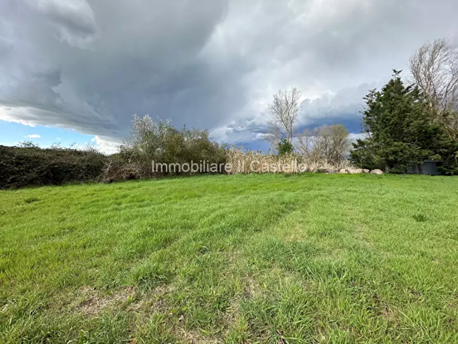 Immagine 13 di Terreno in vendita  a Castiglione Del Lago