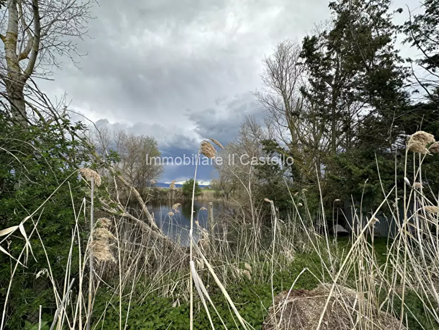 Immagine 15 di Terreno in vendita  a Castiglione Del Lago