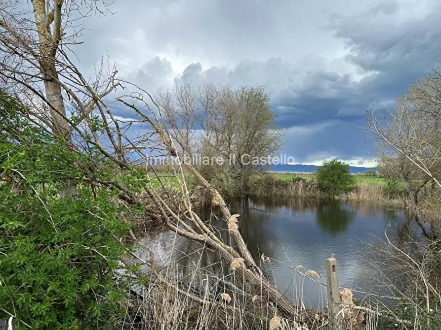 Immagine 16 di Terreno in vendita  a Castiglione Del Lago
