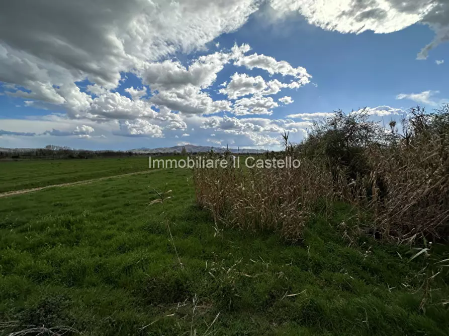 Immagine 17 di Terreno in vendita  a Castiglione Del Lago