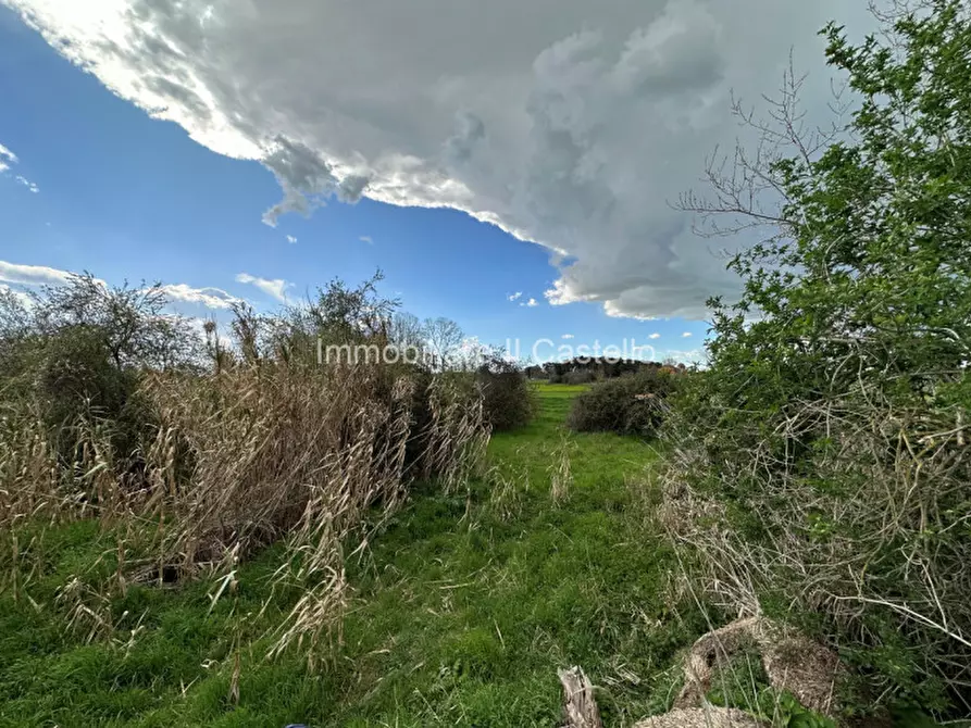Immagine 18 di Terreno in vendita  a Castiglione Del Lago