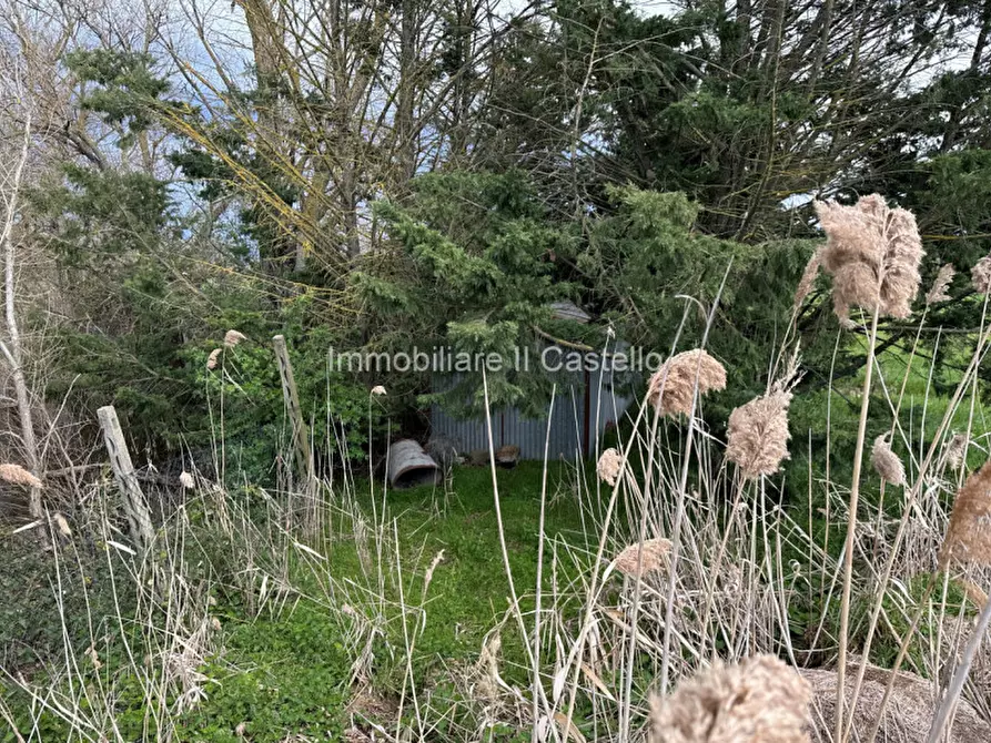 Immagine 19 di Terreno in vendita  a Castiglione Del Lago