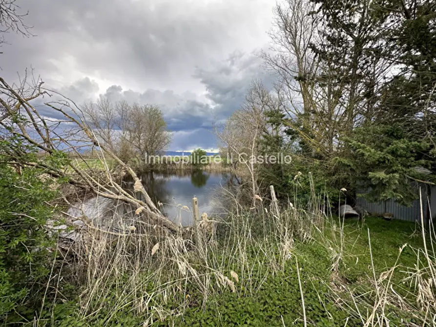 Immagine 20 di Terreno in vendita  a Castiglione Del Lago