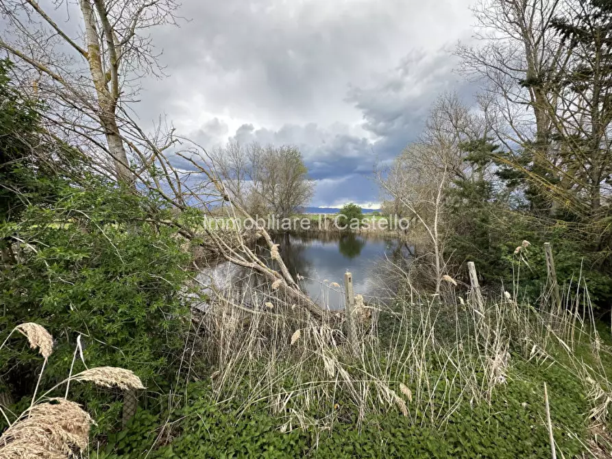 Immagine 21 di Terreno in vendita  a Castiglione Del Lago