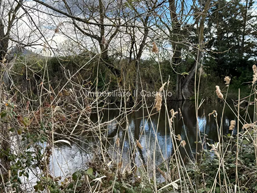 Immagine 22 di Terreno in vendita  a Castiglione Del Lago