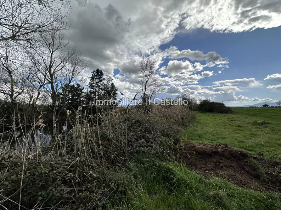 Immagine 23 di Terreno in vendita  a Castiglione Del Lago