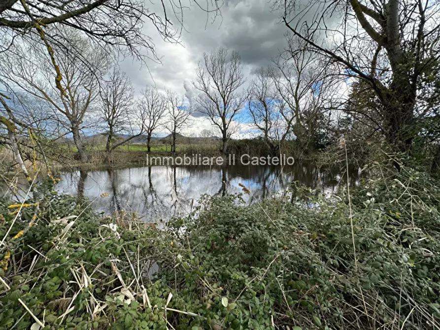 Immagine 24 di Terreno in vendita  a Castiglione Del Lago