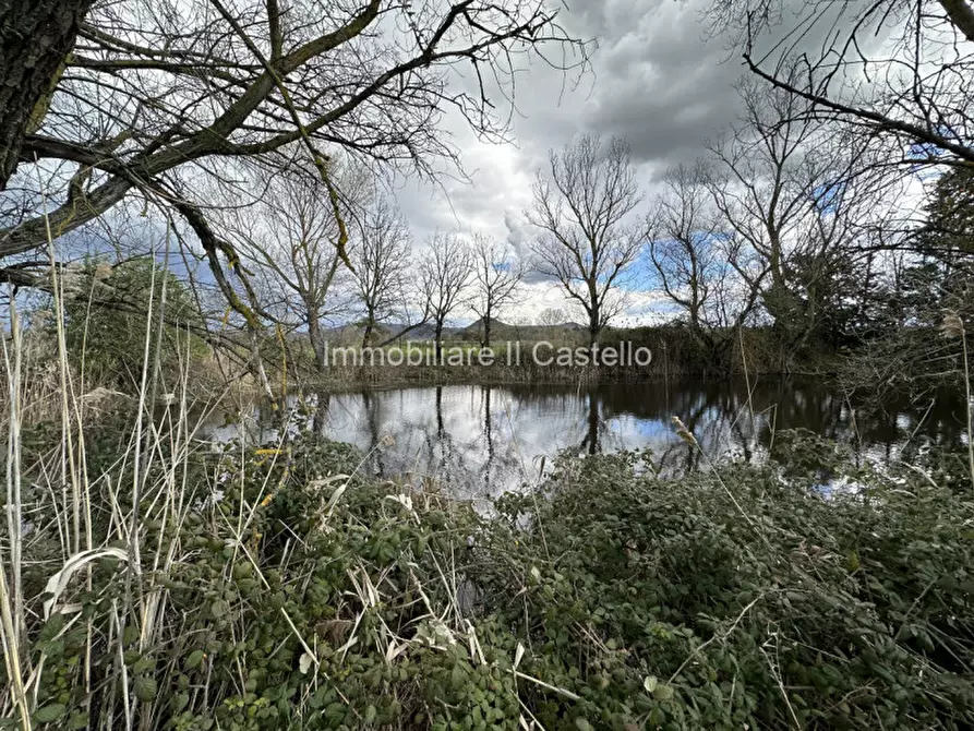 Immagine 25 di Terreno in vendita  a Castiglione Del Lago