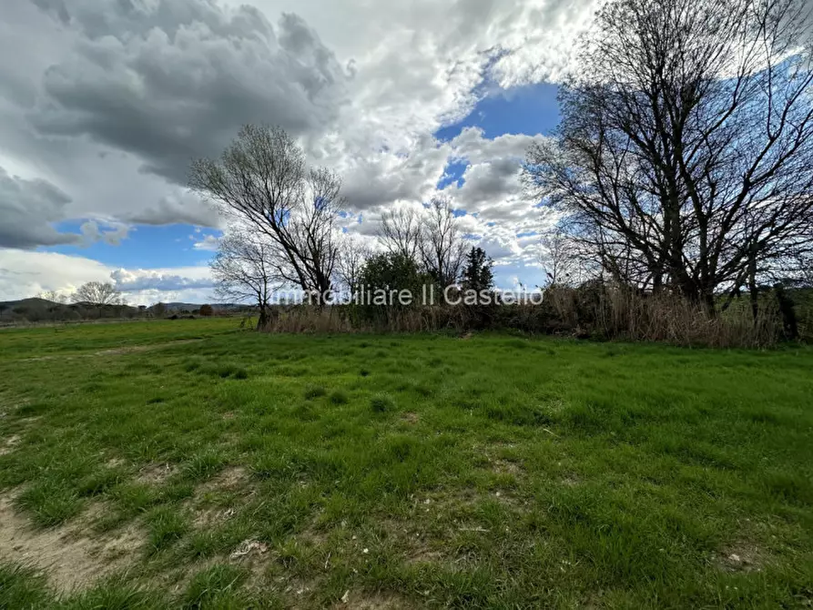 Immagine 26 di Terreno in vendita  a Castiglione Del Lago