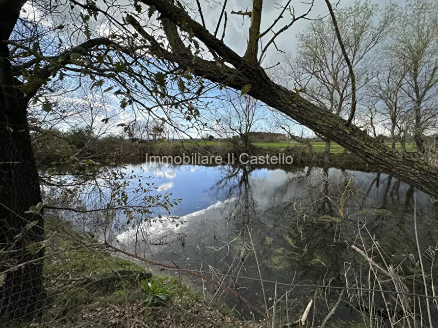 Immagine 27 di Terreno in vendita  a Castiglione Del Lago