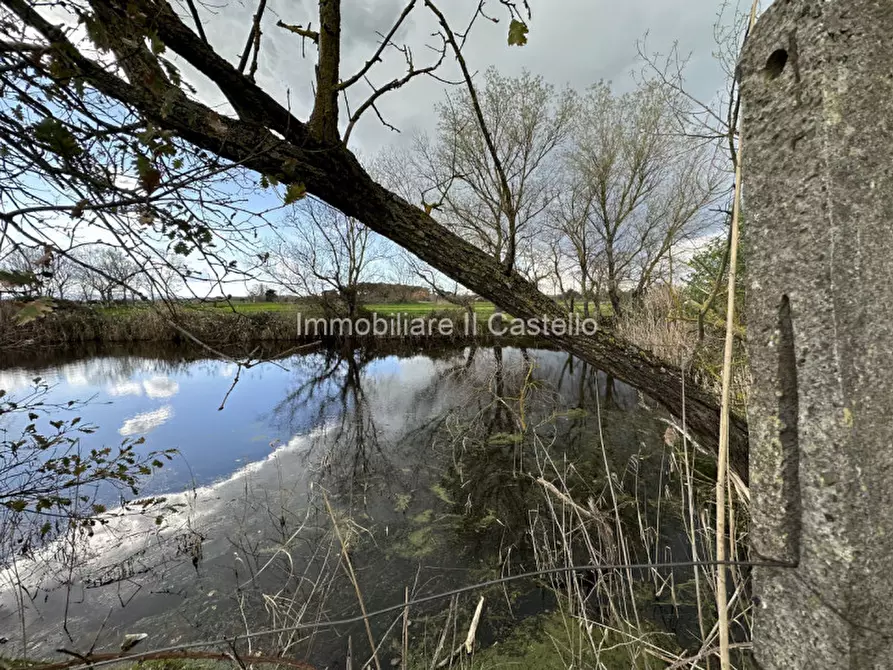 Immagine 28 di Terreno in vendita  a Castiglione Del Lago