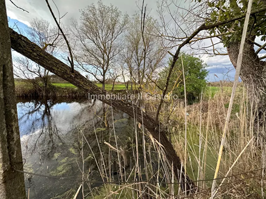 Immagine 29 di Terreno in vendita  a Castiglione Del Lago