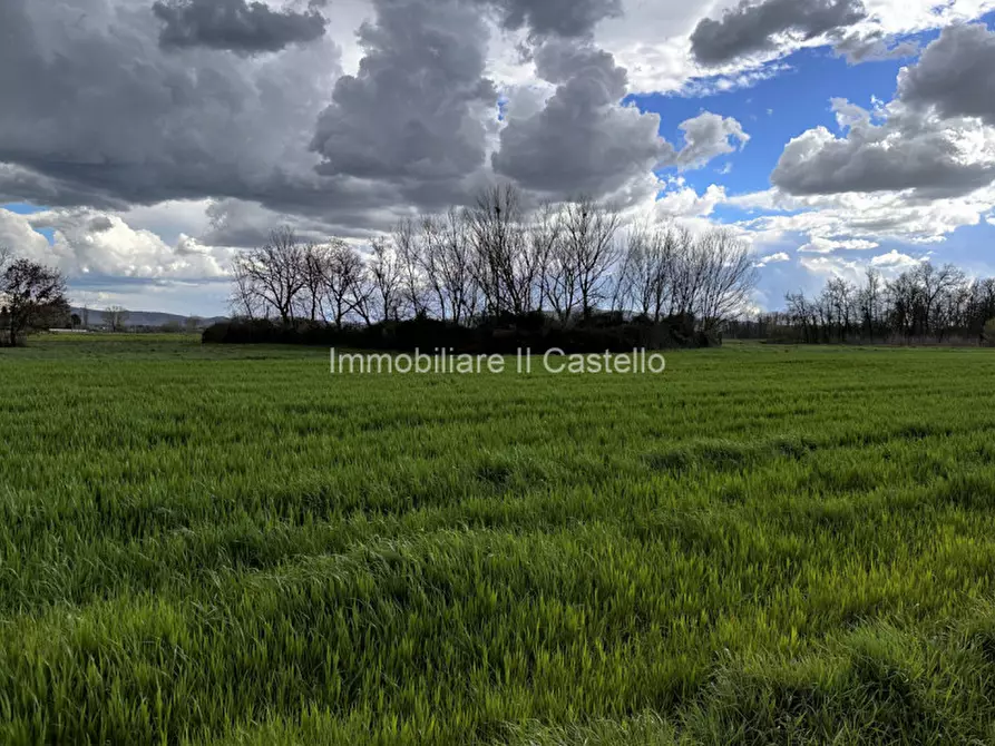 Immagine 3 di Terreno in vendita  a Castiglione Del Lago