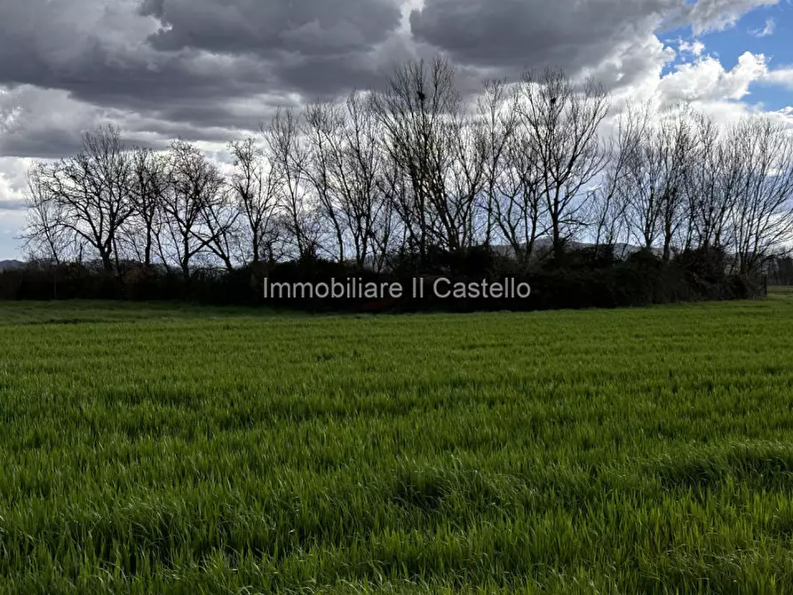 Immagine 5 di Terreno in vendita  a Castiglione Del Lago