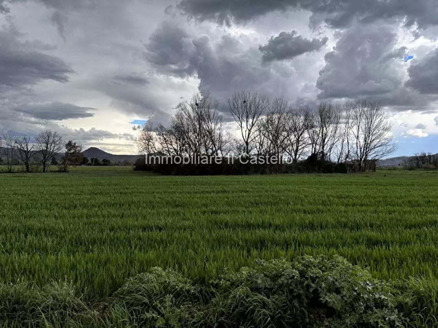 Immagine 6 di Terreno in vendita  a Castiglione Del Lago