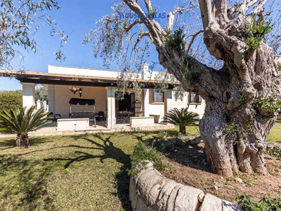 Immagine 23 di Villa in vendita  in Via falaride a Avola