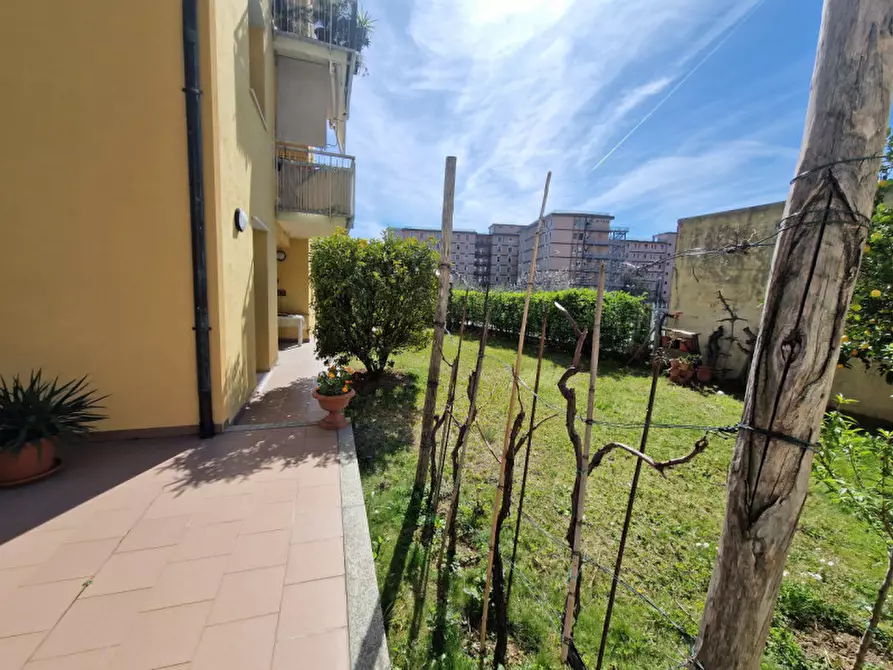 Immagine 19 di Appartamento in vendita  in via privata olivetta a Savona