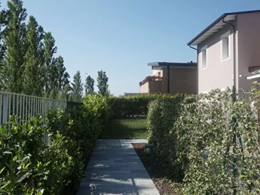 Immagine 4 di Terreno in vendita  in Via MINA a Sorbolo Mezzani