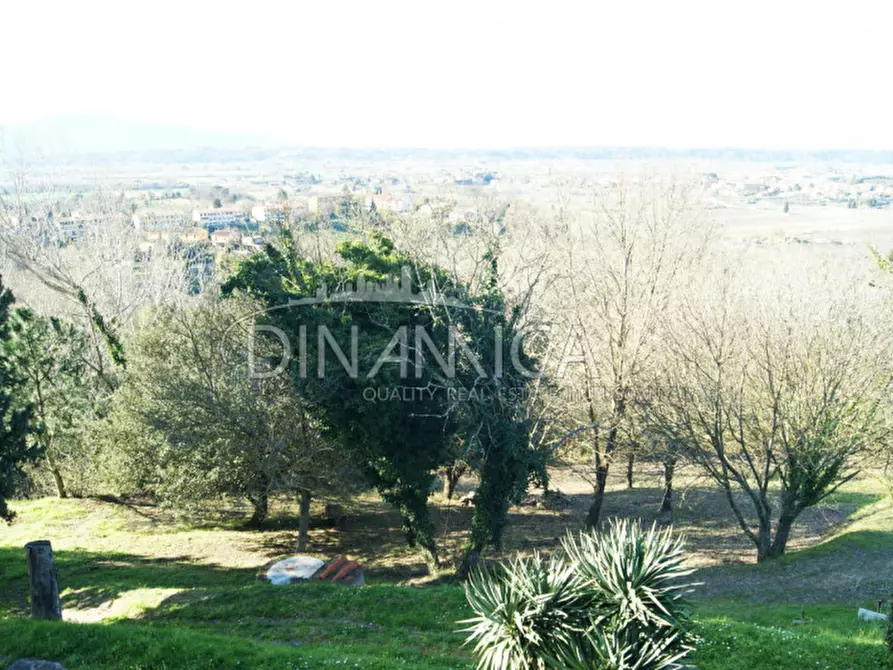 Immagine 10 di Rustico / casale in vendita  a San Miniato