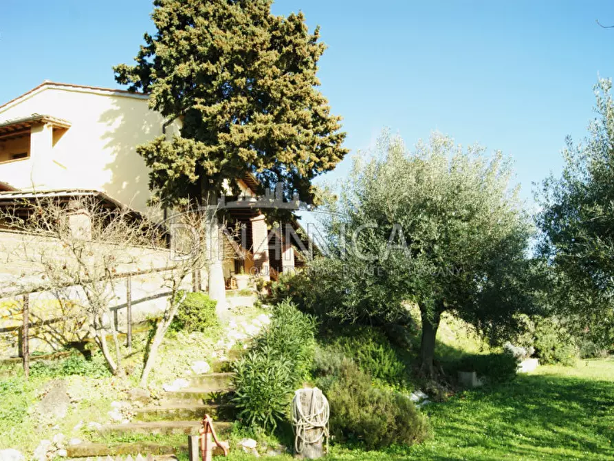 Immagine 18 di Rustico / casale in vendita  a San Miniato