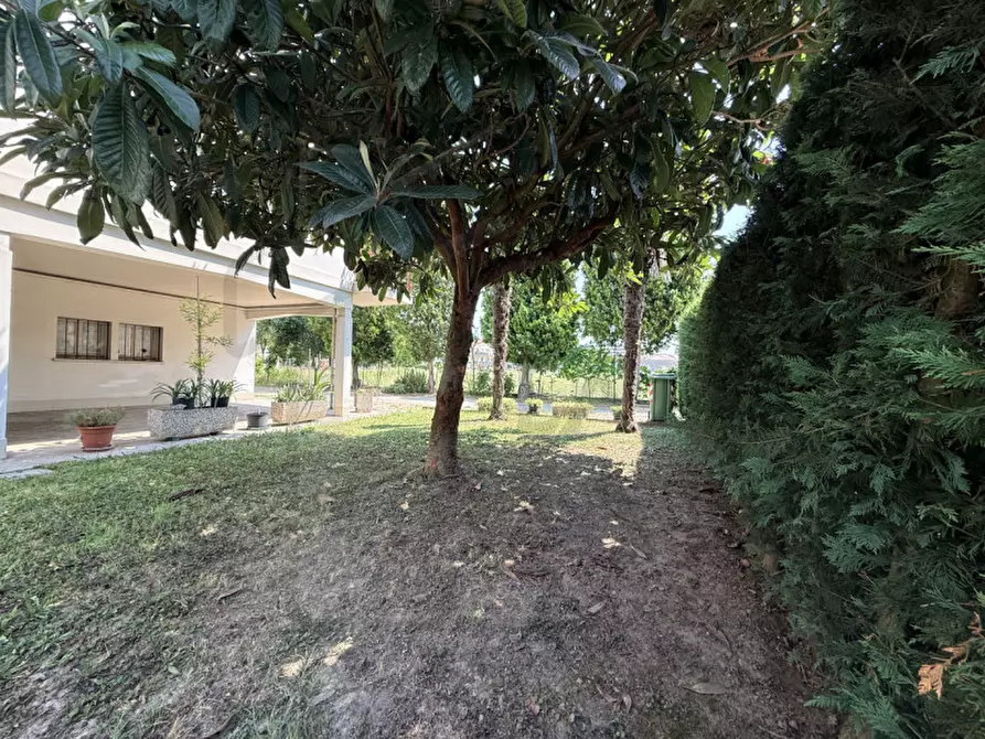 Immagine 26 di Appartamento in vendita  in Via Niccolò Tommaseo a Abano Terme