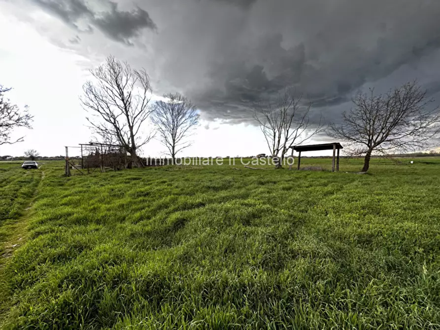 Immagine 4 di Terreno in vendita  a Castiglione Del Lago