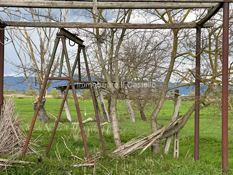 Immagine 5 di Terreno in vendita  a Castiglione Del Lago