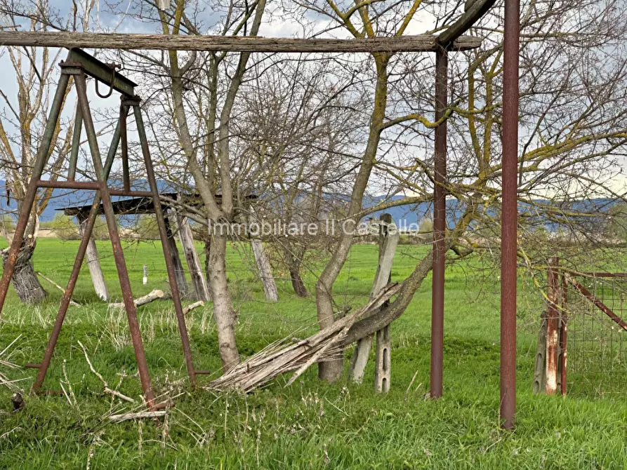 Immagine 6 di Terreno in vendita  a Castiglione Del Lago