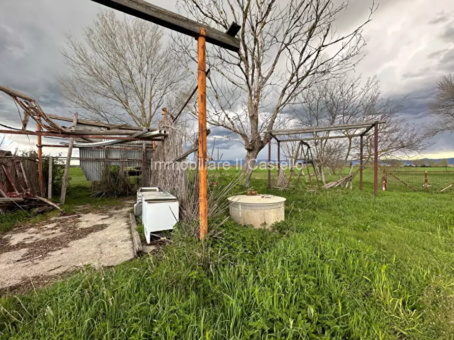 Immagine 7 di Terreno in vendita  a Castiglione Del Lago
