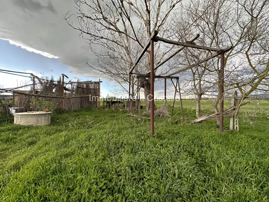 Immagine 8 di Terreno in vendita  a Castiglione Del Lago