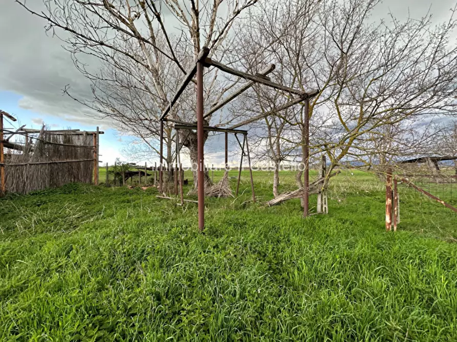 Immagine 9 di Terreno in vendita  a Castiglione Del Lago