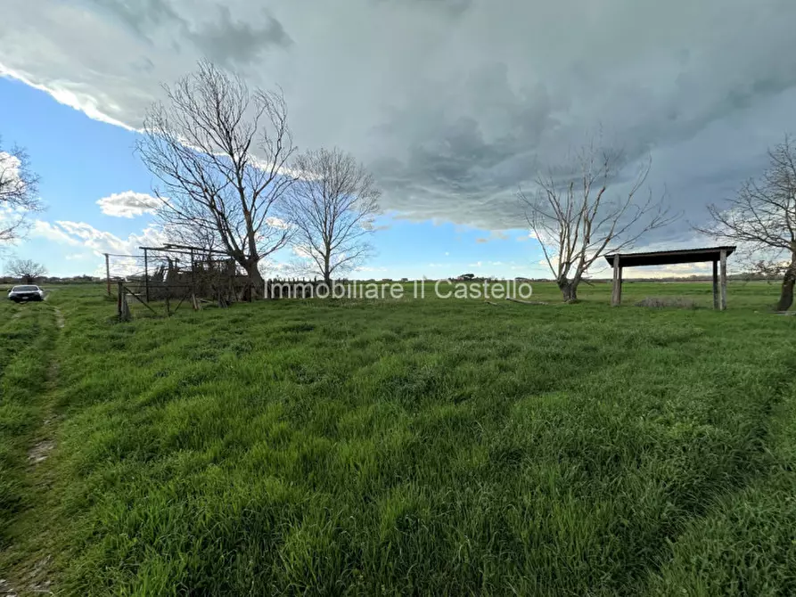 Immagine 10 di Terreno in vendita  a Castiglione Del Lago