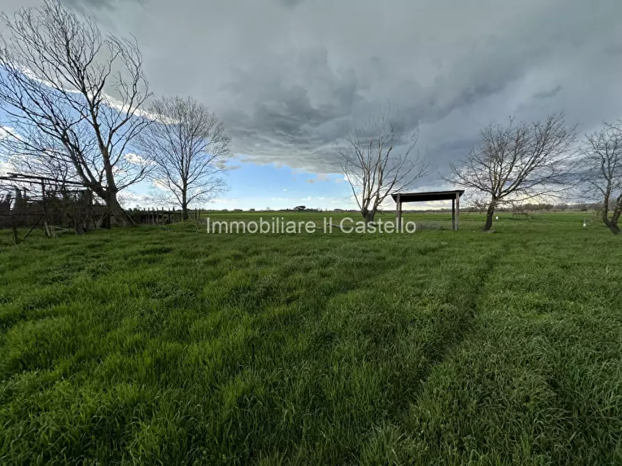 Immagine 11 di Terreno in vendita  a Castiglione Del Lago