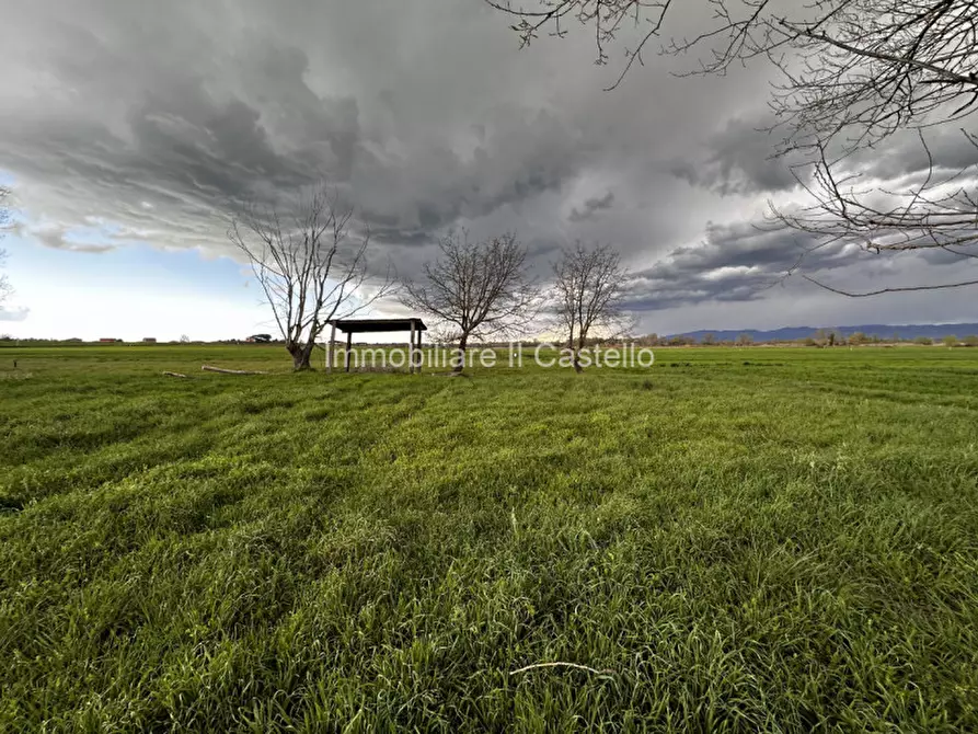 Immagine 14 di Terreno in vendita  a Castiglione Del Lago