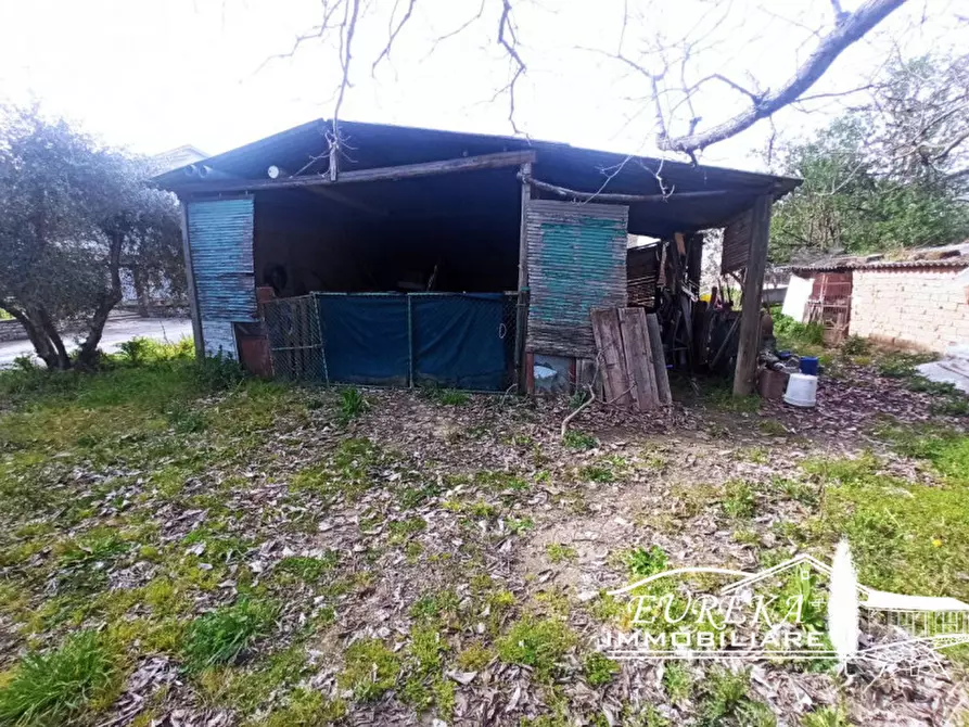 Immagine 20 di Casa indipendente in vendita  in Via Roma a Castiglione Del Lago