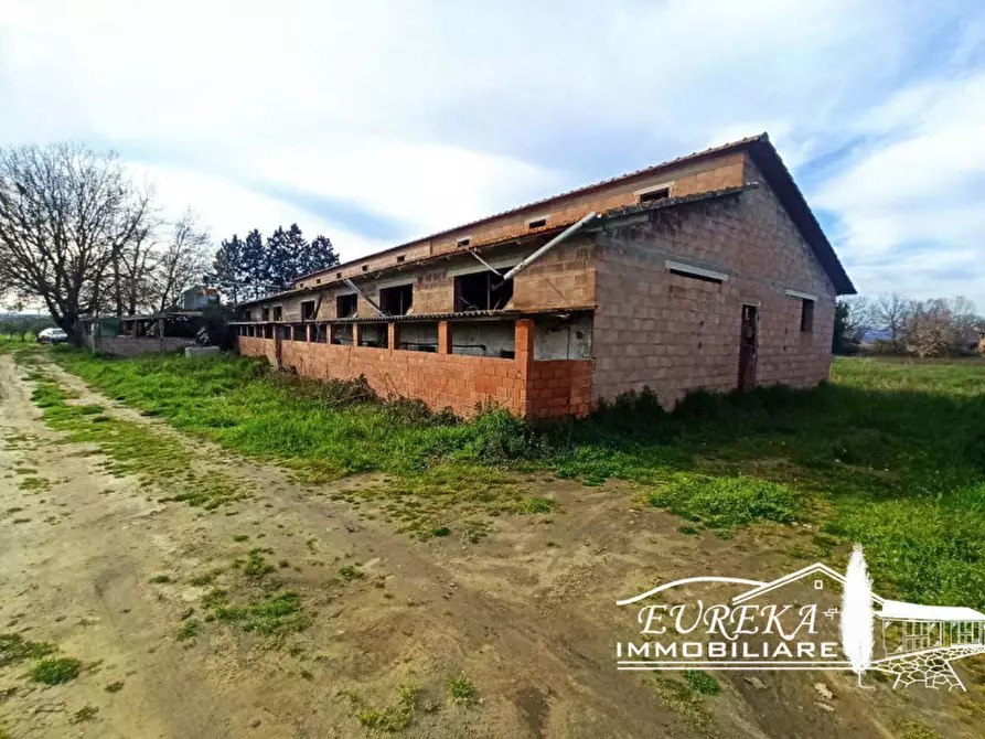 Immagine 1 di Capannone industriale in vendita  in Via Roma, Castiglione del lago a Castiglione Del Lago
