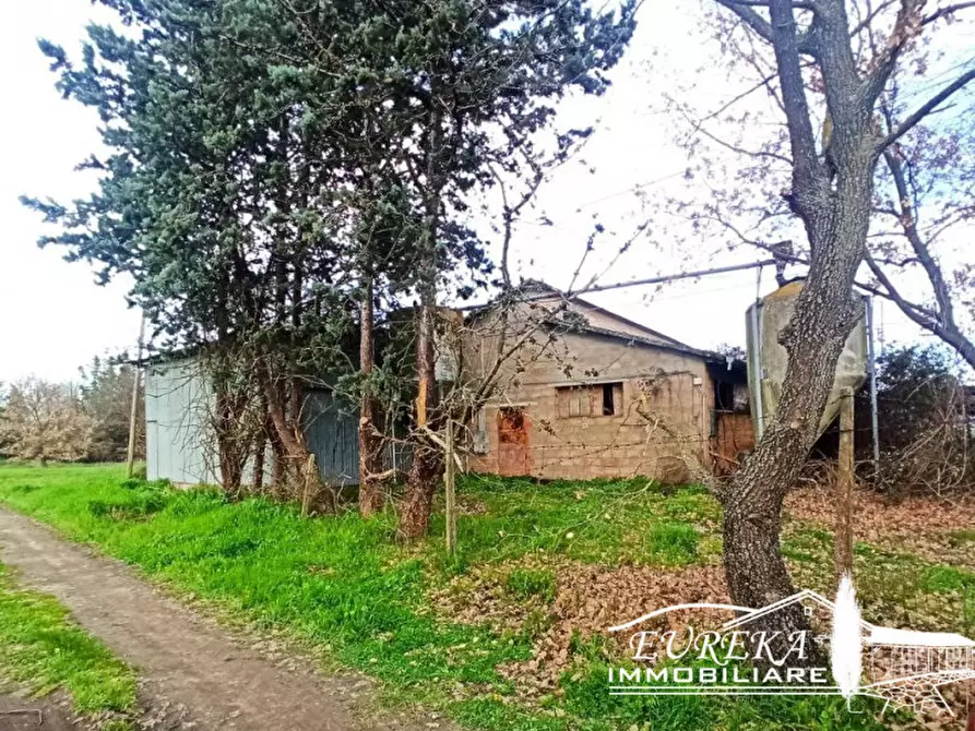 Immagine 2 di Capannone industriale in vendita  in Via Roma, Castiglione del lago a Castiglione Del Lago