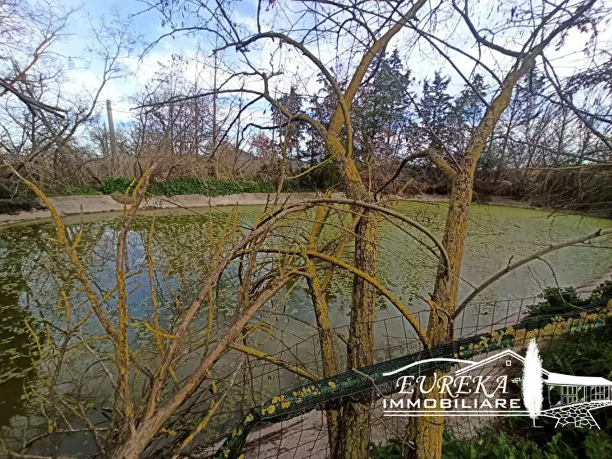 Immagine 3 di Capannone industriale in vendita  in Via Roma, Castiglione del lago a Castiglione Del Lago
