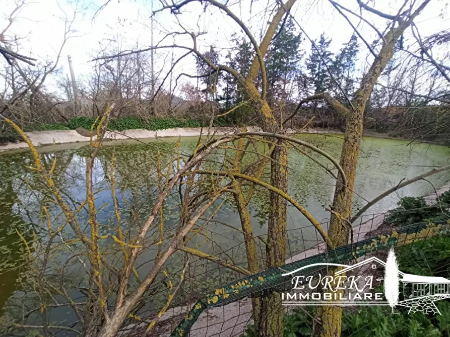 Immagine 4 di Capannone industriale in vendita  in Via Roma, Castiglione del lago a Castiglione Del Lago