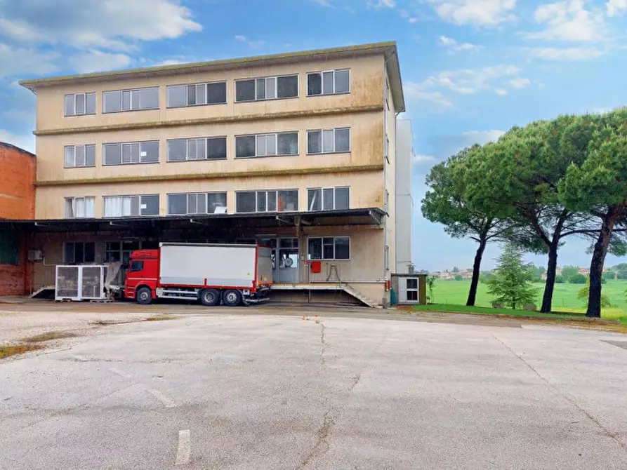 Immagine 3 di Capannone industriale in vendita  in Loc. Olmini, Via Santa Maria (SP 306), N. snc a Panicale