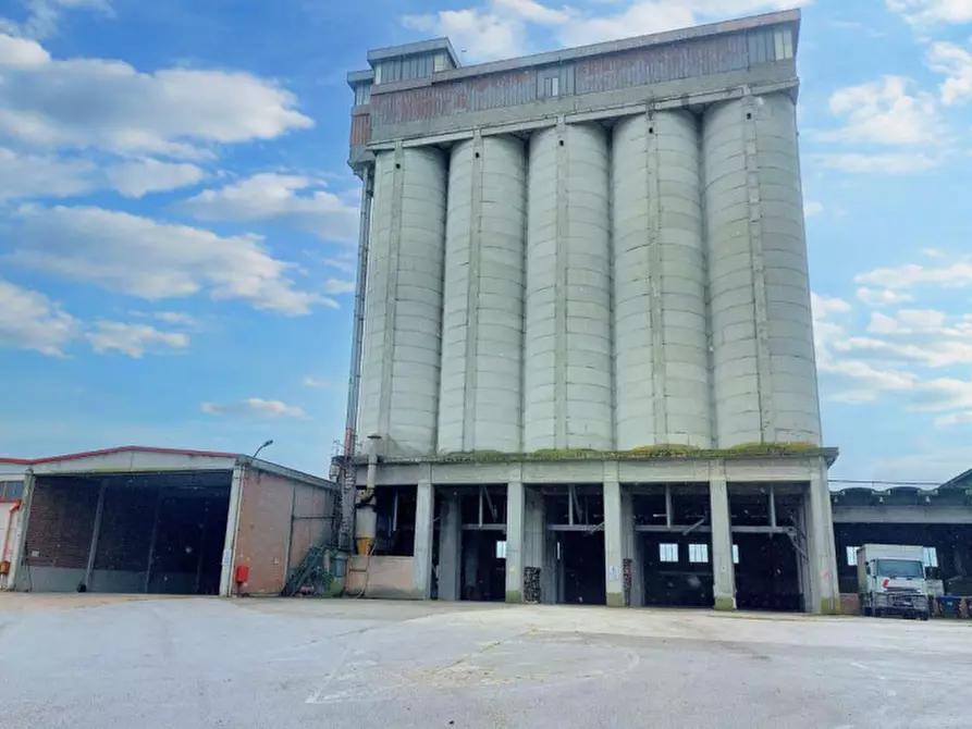 Immagine 4 di Capannone industriale in vendita  in Loc. Olmini, Via Santa Maria (SP 306), N. snc a Panicale