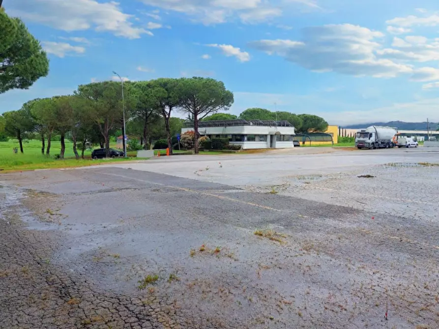 Immagine 6 di Capannone industriale in vendita  in Loc. Olmini, Via Santa Maria (SP 306), N. snc a Panicale