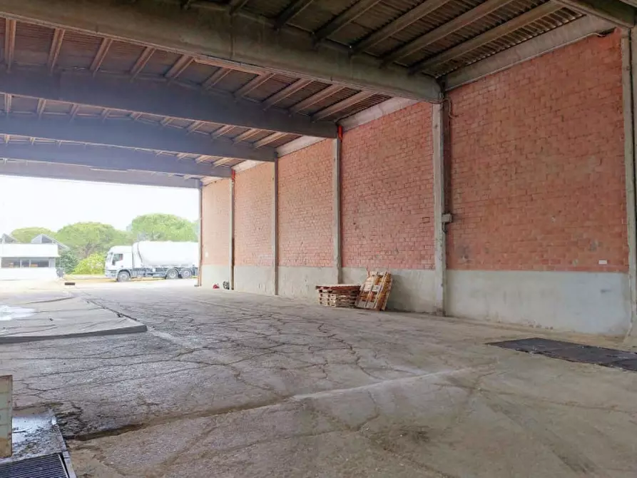 Immagine 11 di Capannone industriale in vendita  in Loc. Olmini, Via Santa Maria (SP 306), N. snc a Panicale