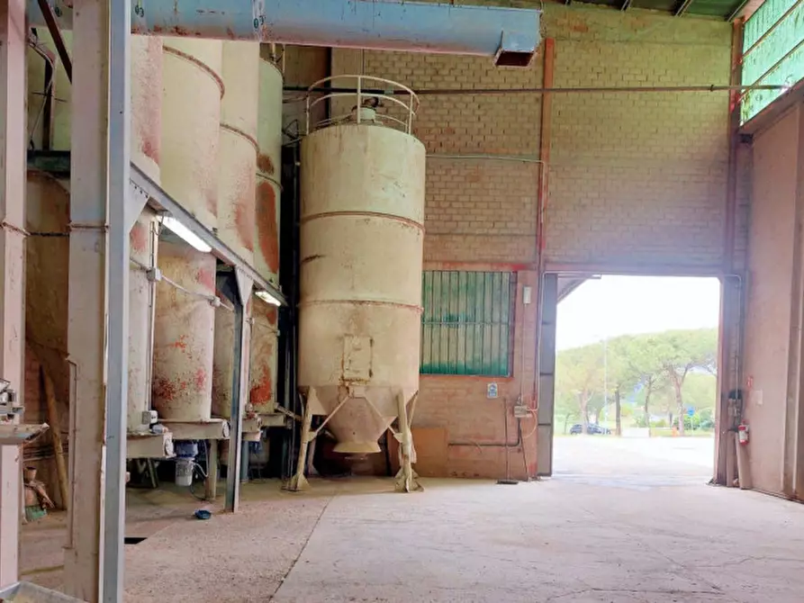 Immagine 14 di Capannone industriale in vendita  in Loc. Olmini, Via Santa Maria (SP 306), N. snc a Panicale