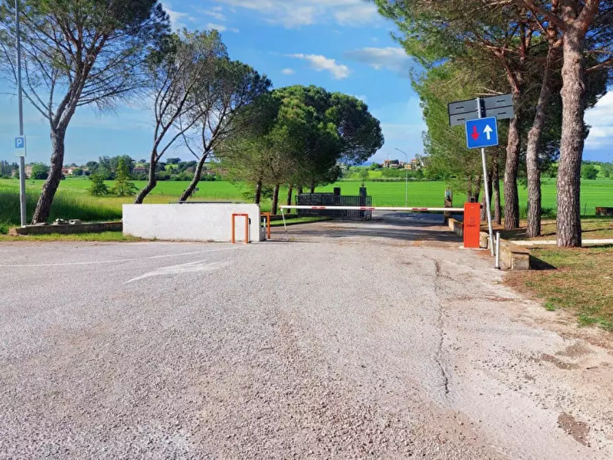 Immagine 18 di Capannone industriale in vendita  in Loc. Olmini, Via Santa Maria (SP 306), N. snc a Panicale