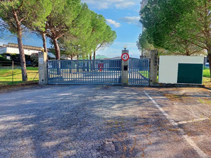 Immagine 19 di Capannone industriale in vendita  in Loc. Olmini, Via Santa Maria (SP 306), N. snc a Panicale