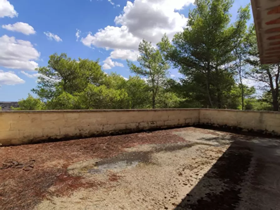 Immagine 5 di Villa in vendita  in Strada Comunale Pigno la Pece a Ruffano