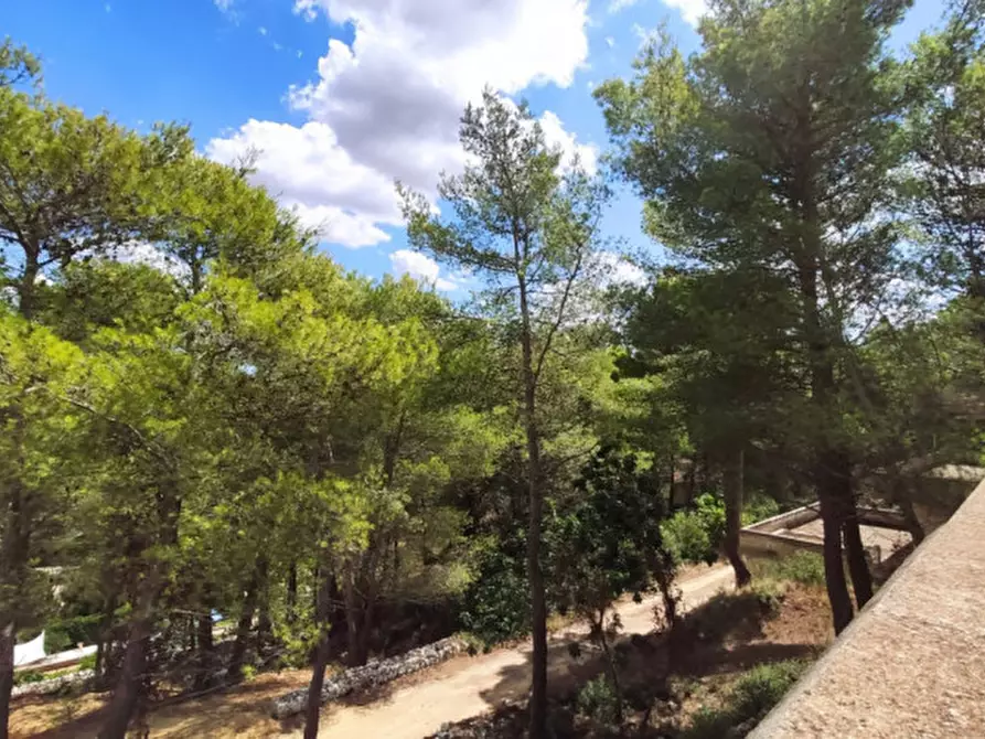 Immagine 13 di Villa in vendita  in Strada Comunale Pigno la Pece a Ruffano