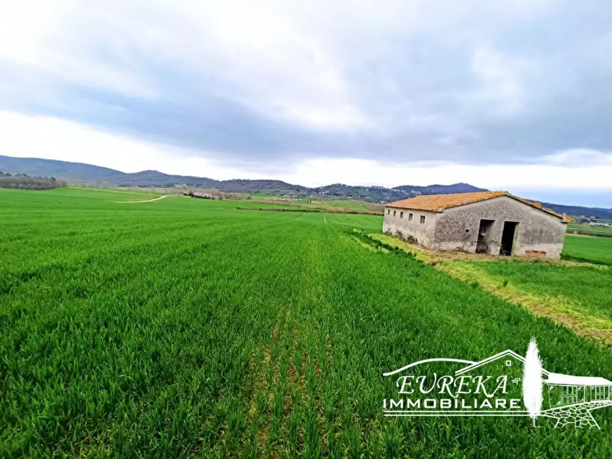 Immagine 6 di Terreno in vendita  in località Le Mura a Panicale